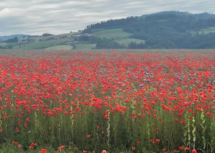 Bruendl - Fruehstueckspension Und 3*