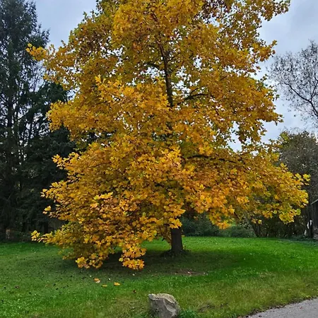 Bruendl - Fruehstueckspension Und Wilhering